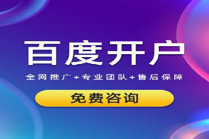 百度推广的投放策略与效果分析